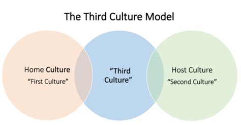 Third Culture, Online Shop .